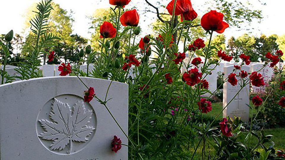 Image result for remembrance Day graves, ottawa